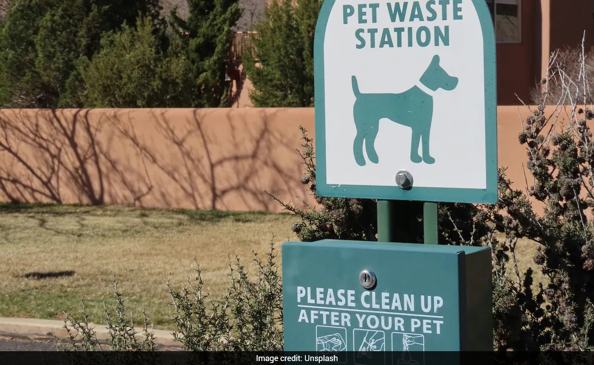 New Jersey Condo Uses DNA Testing to Track Dog Poop