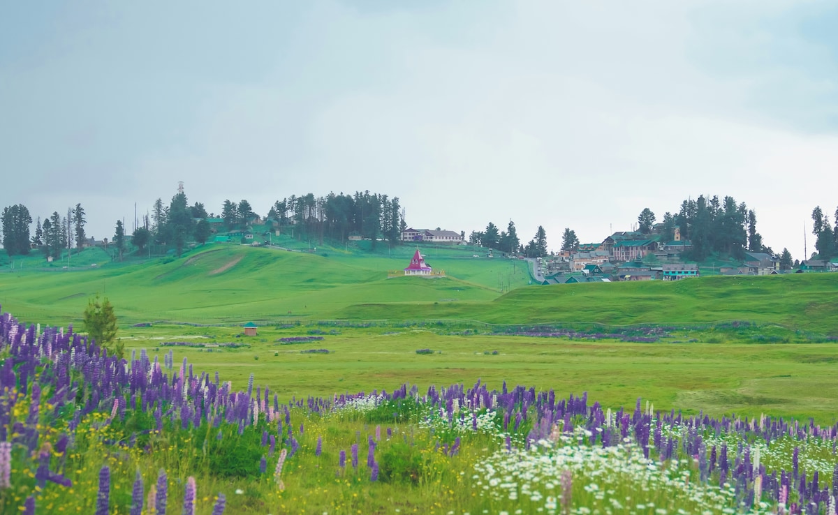 Latest and Breaking News on NDTV