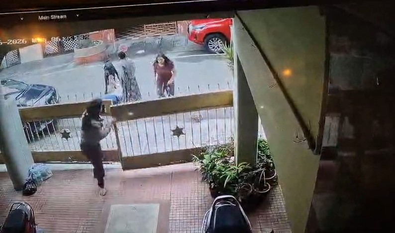 Bengaluru Woman Mauled By Neighbour's Pet Dog, CCTV Captures Horror