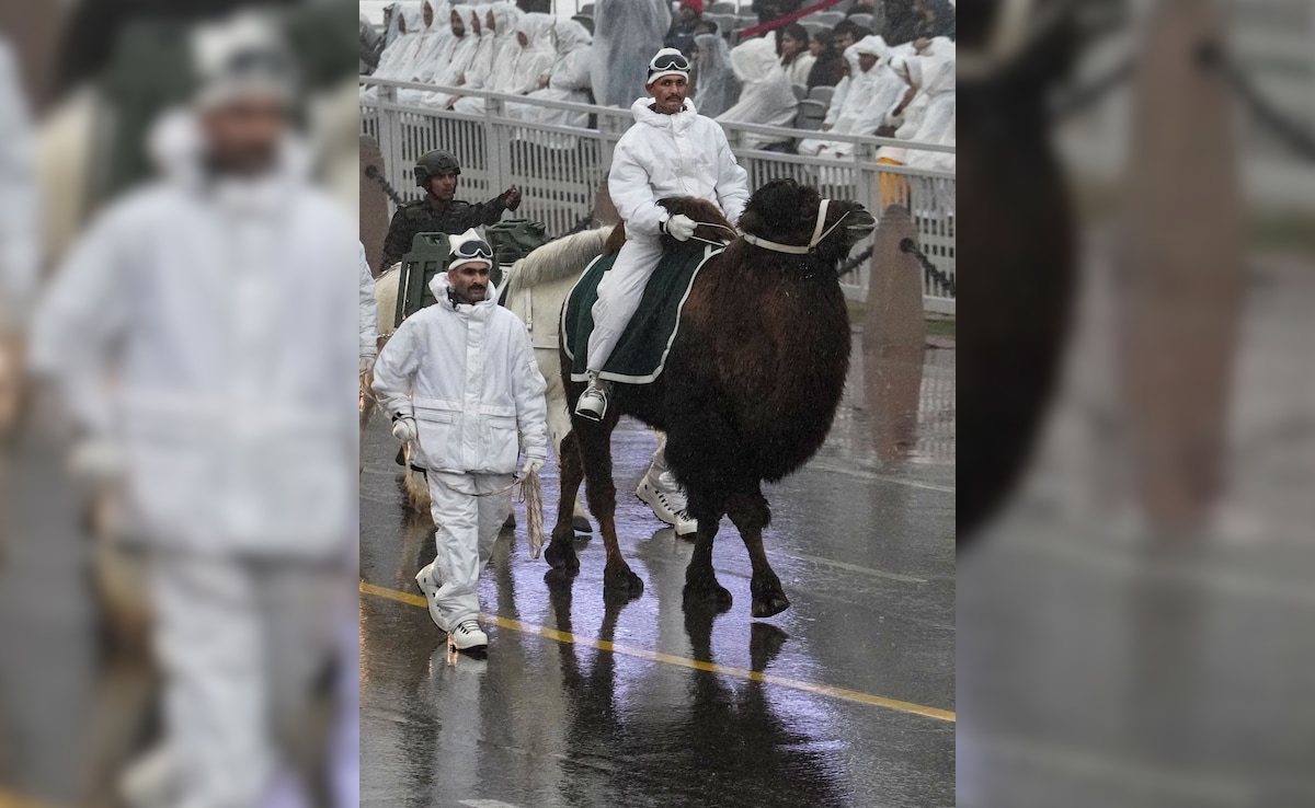 Latest and Breaking News on NDTV