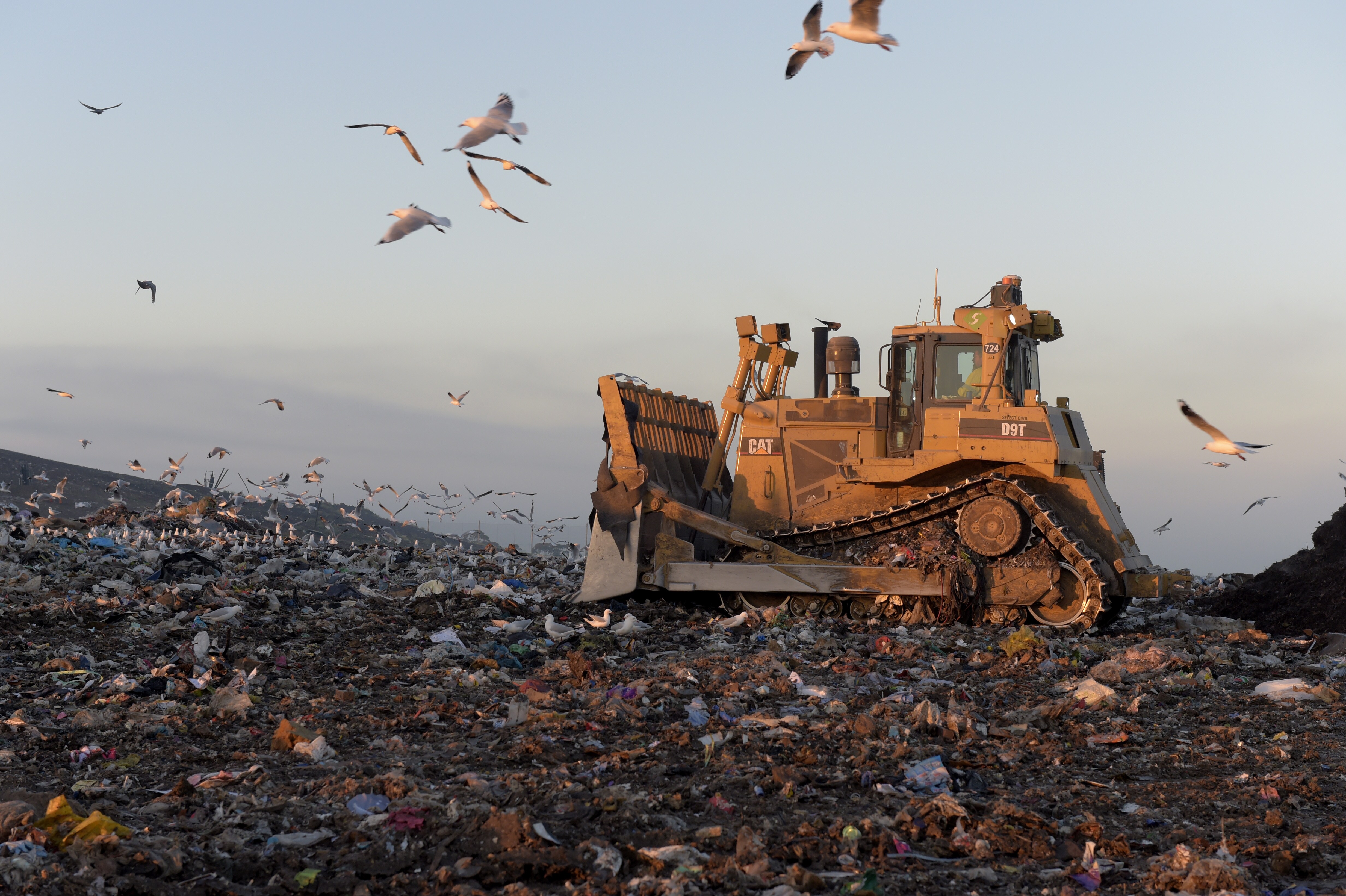 Antony Waste Handling IPO: All The Details You Need To Know Before Subscribing