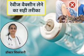 रेबीज का इंजेक्शन कूल्हे पर लगाना चाहिए या हाथ पर? डॉक्टर शिवरंजनी ने बताया सही तरीका, जानिए