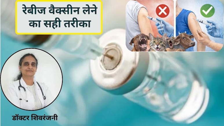 रेबीज का इंजेक्शन कूल्हे पर लगाना चाहिए या हाथ पर? डॉक्टर शिवरंजनी ने बताया सही तरीका, जानिए