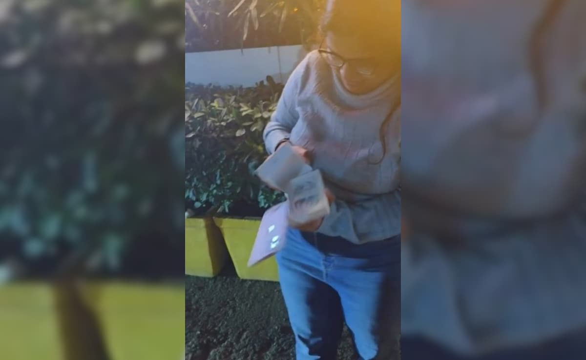 Woman's iPhone 17 Unboxing Turns Into Epic Fail: "Blinkit Delivery Was Fast, Fall Was Faster"