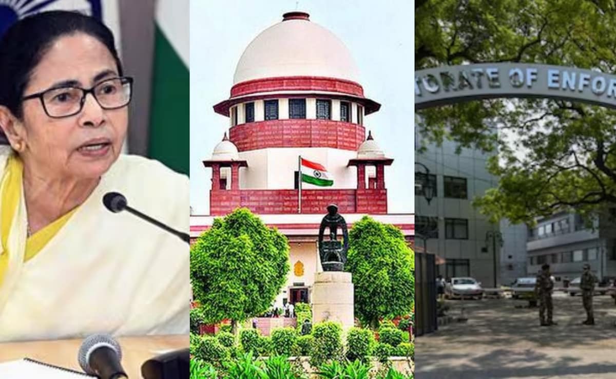 The Art of Baking: From Classic Bread to Artisan Pastries