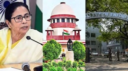 'Can't Dictate When A Hearing Should Happen': Top Court To Bengal In I-PAC Raid Case