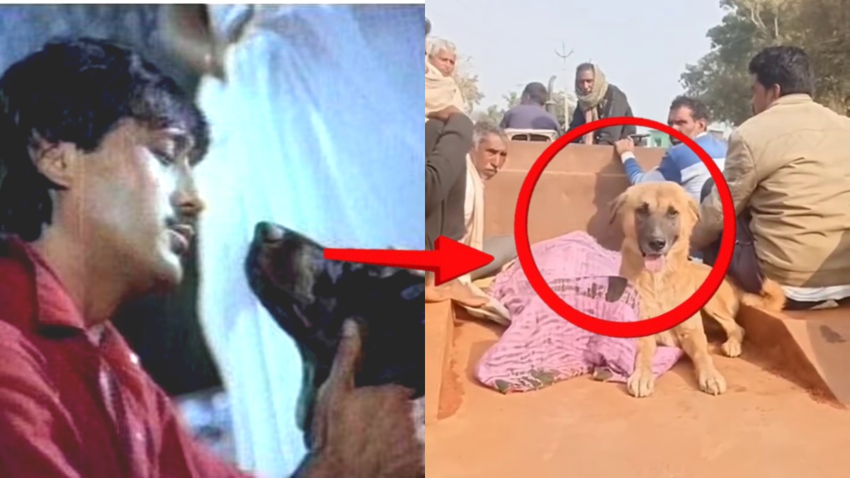 'तेरी मेहरबानियां फिल्म' जैसा क्लाइमैक्स, मालिक के शव के अंतिम संस्कार में पहुंचा कुत्ता, रुला देगी ये कहानी