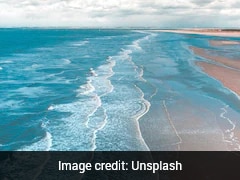 Mysterious Pink Slime On Tasmanian Beach Sparks Algal Bloom Concerns