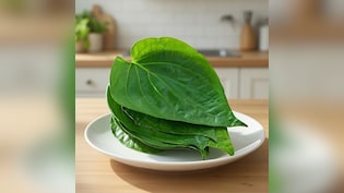 कब्ज की समस्या को मिनटों में दूर करता है ये हरा पत्ता, इन 6 लोगों के लिए वरदान से कम नहीं