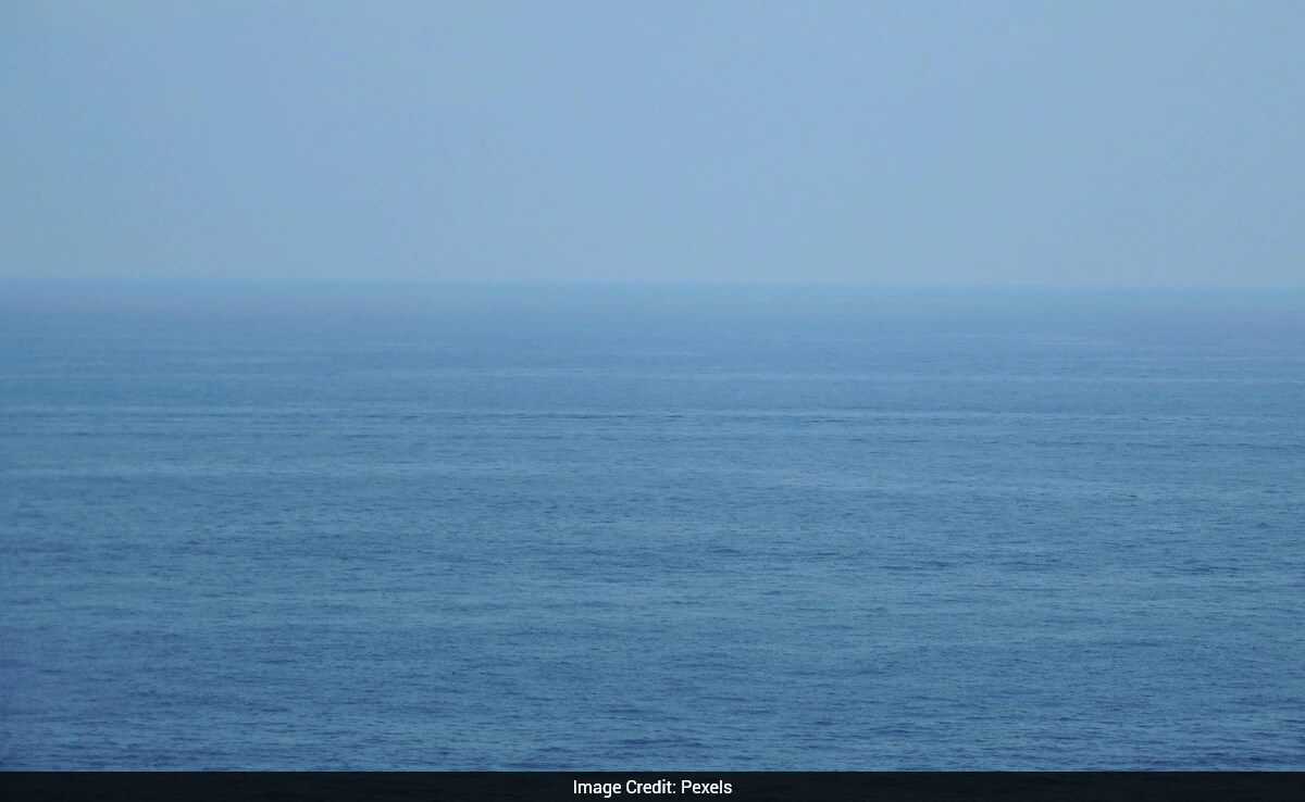 5,000-Year-Old Whale Harpoons Found in Brazil