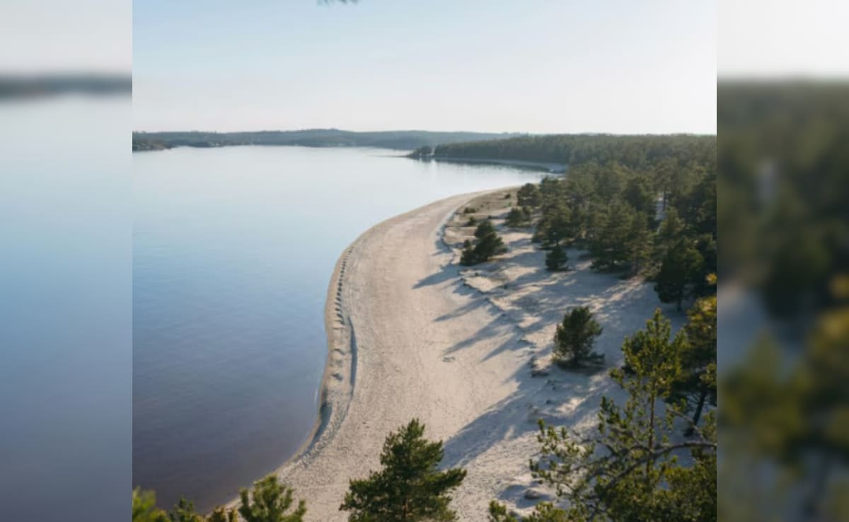 Latest and Breaking News on NDTV