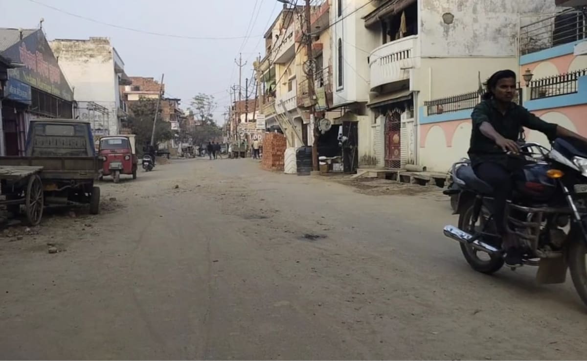 The Art of Baking: From Classic Bread to Artisan Pastries