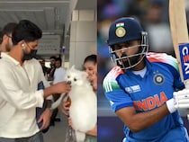 Shreyas Iyer Almost Bitten By A Fans Dog, Narrowly Escapes Ahead Of ODI Comeback. Video Goes Viral