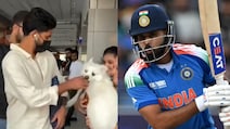 Iyer Almost Bitten By Dog, Narrowly Escapes Ahead Of ODI Comeback - Video