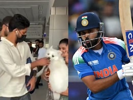 Shreyas Iyer Almost Bitten By A Fan's Dog, Narrowly Escapes Ahead Of ODI Comeback. Video Goes Viral