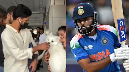 Iyer Almost Bitten By Dog, Narrowly Escapes Ahead Of ODI Comeback - Video