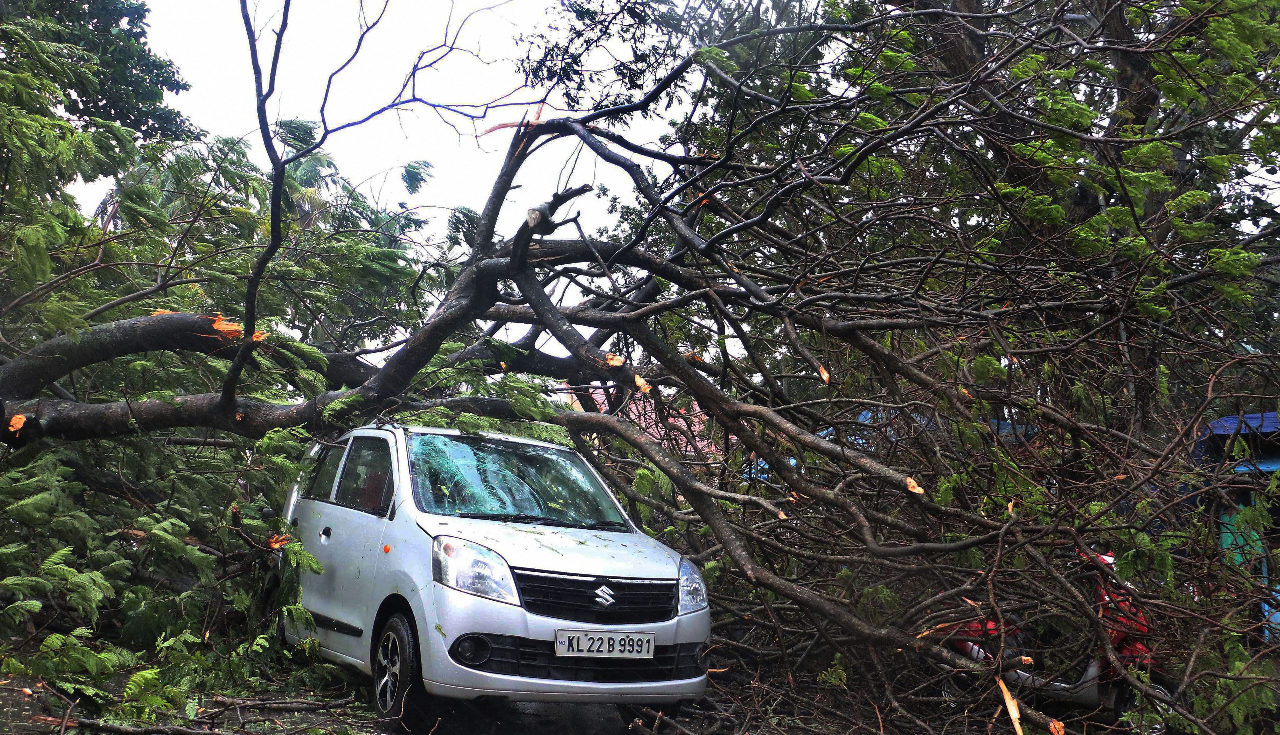 Cyclone Ockhi Hurtles Towards Lakshadweep, Kerala, Tamil Nadu