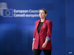 'Ready To Defend Every Inch Of NATO': Denmark After Trump's Greenland Remark