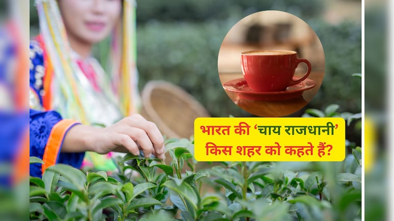 भारत का कौन सा शहर है 'The Chai Capital Of India'? जानिए यहां जवाब और इतिहास