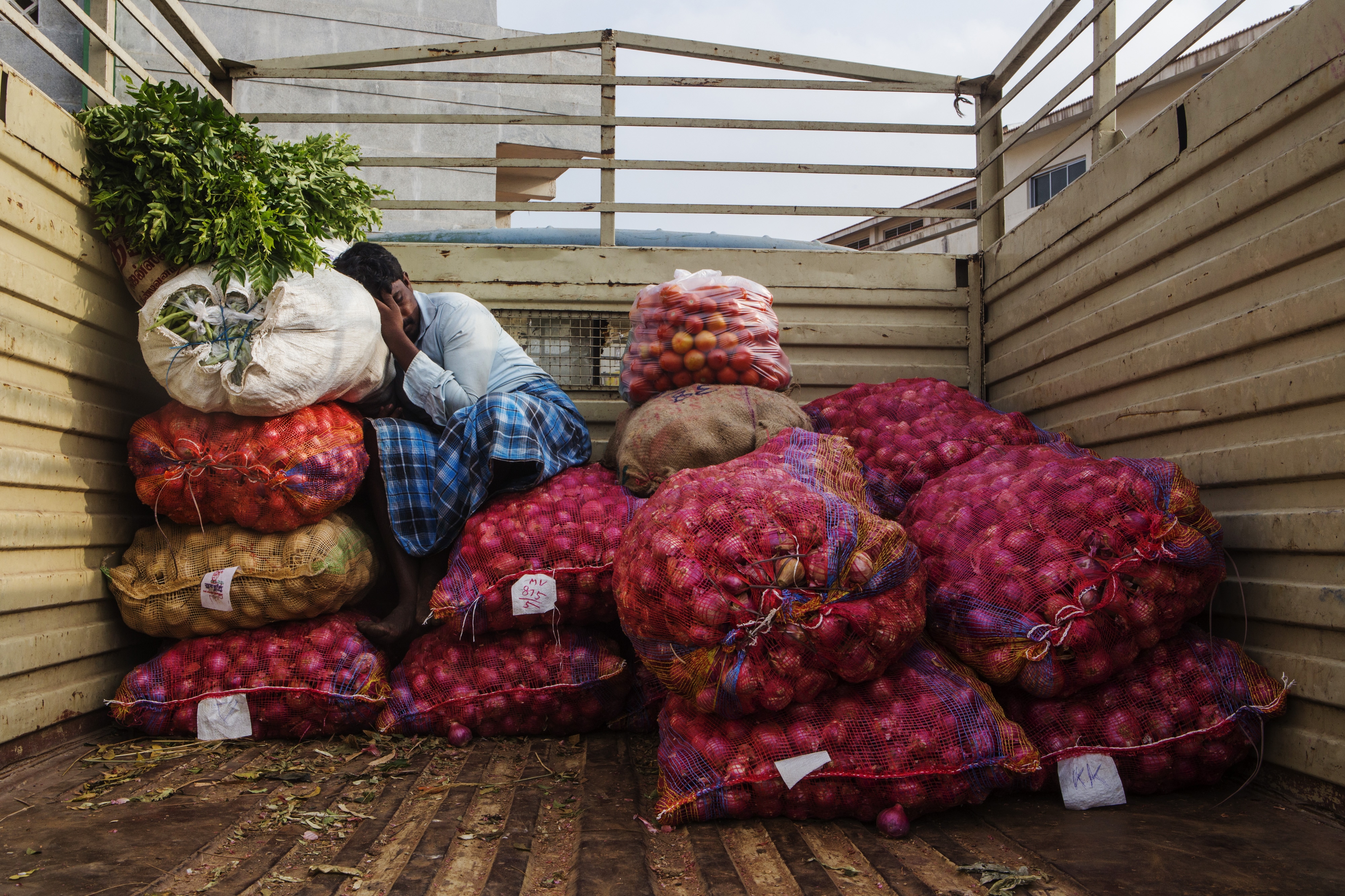 Onion Prices To Cool Soon On Arrivals From Rajasthan, Madhya Pradesh, Says Government