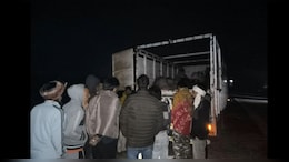 झुंझुनू में ऊंटों की तस्&zwj;करी, नागौर से मेवात लेकर जा रहे थे; &nbsp;8 ऊंट बरामद&nbsp;