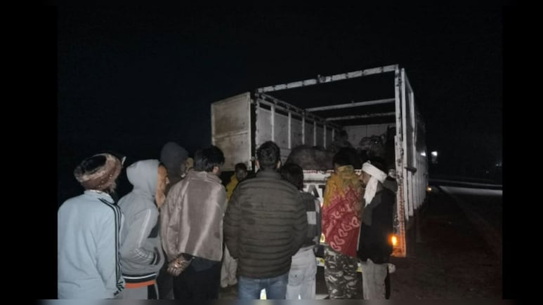 झुंझुनू में ऊंटों की तस्&zwj;करी, नागौर से मेवात लेकर जा रहे थे; &nbsp;8 ऊंट बरामद&nbsp;