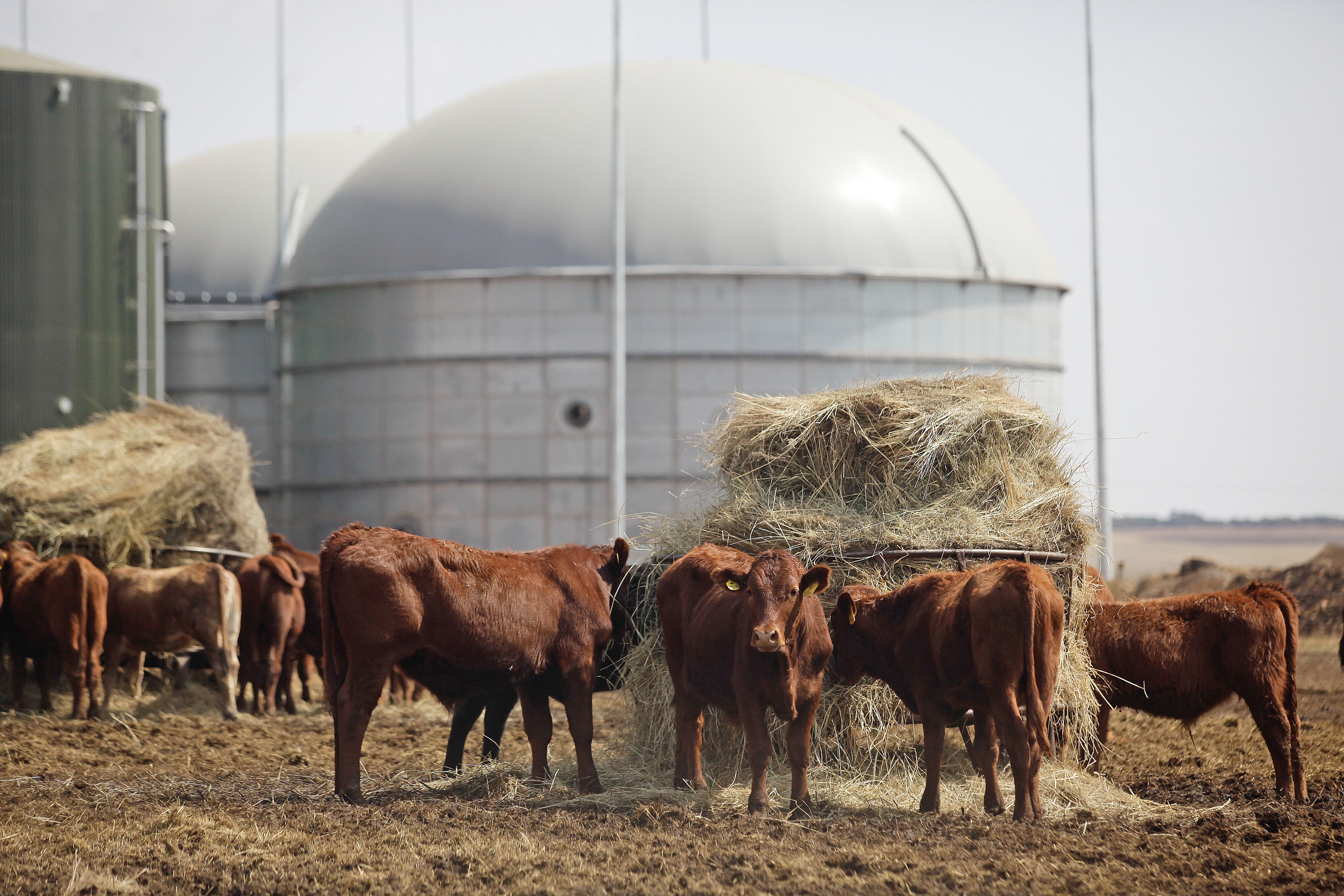 India Plans To Start 5,000 Compressed Biogas Plants In Four Years