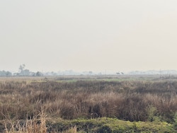 Singur Movement Changed Bengal's Politics, But Not Farmers' Lives
