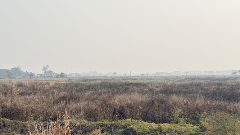 Singur Movement Changed Bengal's Politics, But Not Farmers' Lives