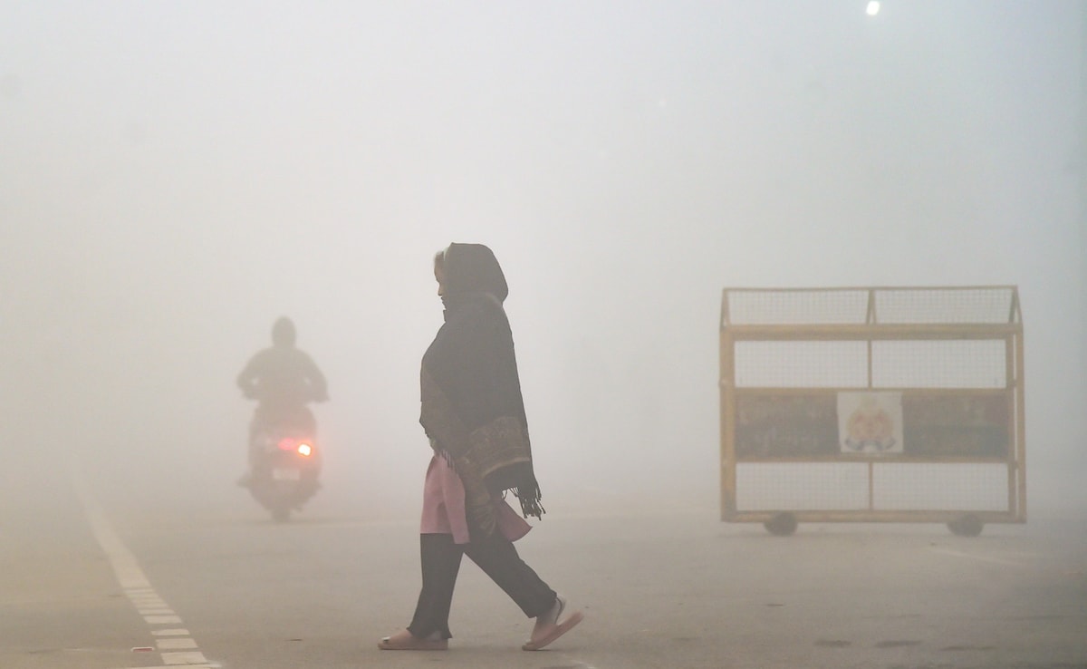 Delhi Weather Delhi Weather