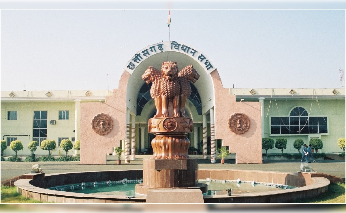 The Art of Baking: From Classic Bread to Artisan Pastries