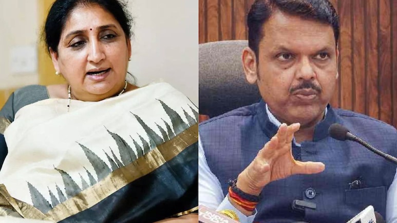 Sunetra Pawar : सुनेत्रा पवार उपमुख्यमंत्रिपदाची शपथ घेणार, मुख्यमंत्री देवेंद्र फडणवीस काय म्हणाले?