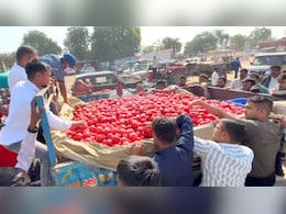 जालोर के सिंदूरी अनार की विदेशों में धूम, 3 महीनों में 1500 करोड़ का व्यापार; मिठास ऐसी कि गल्फ देशों तक बढ़ी मांग