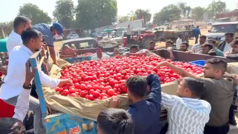 जालोर के सिंदूरी अनार की विदेशों में धूम, 3 महीनों में 1500 करोड़ का व्यापार; मिठास ऐसी कि गल्फ देशों तक बढ़ी मांग