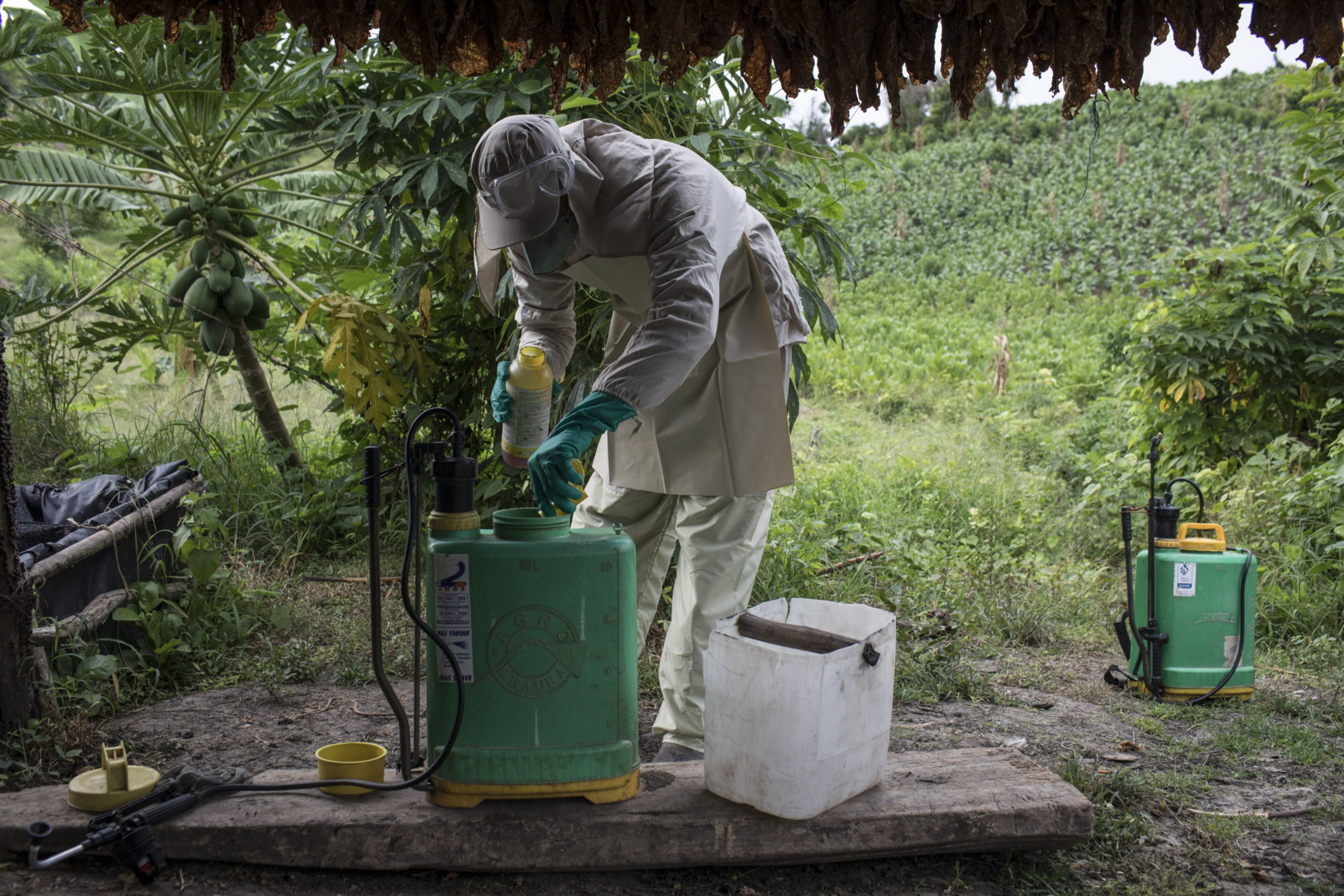 Agro Chemical Earnings Preview: A Lacklustre Q3, Says Prabhudas Lilladher &nbsp;