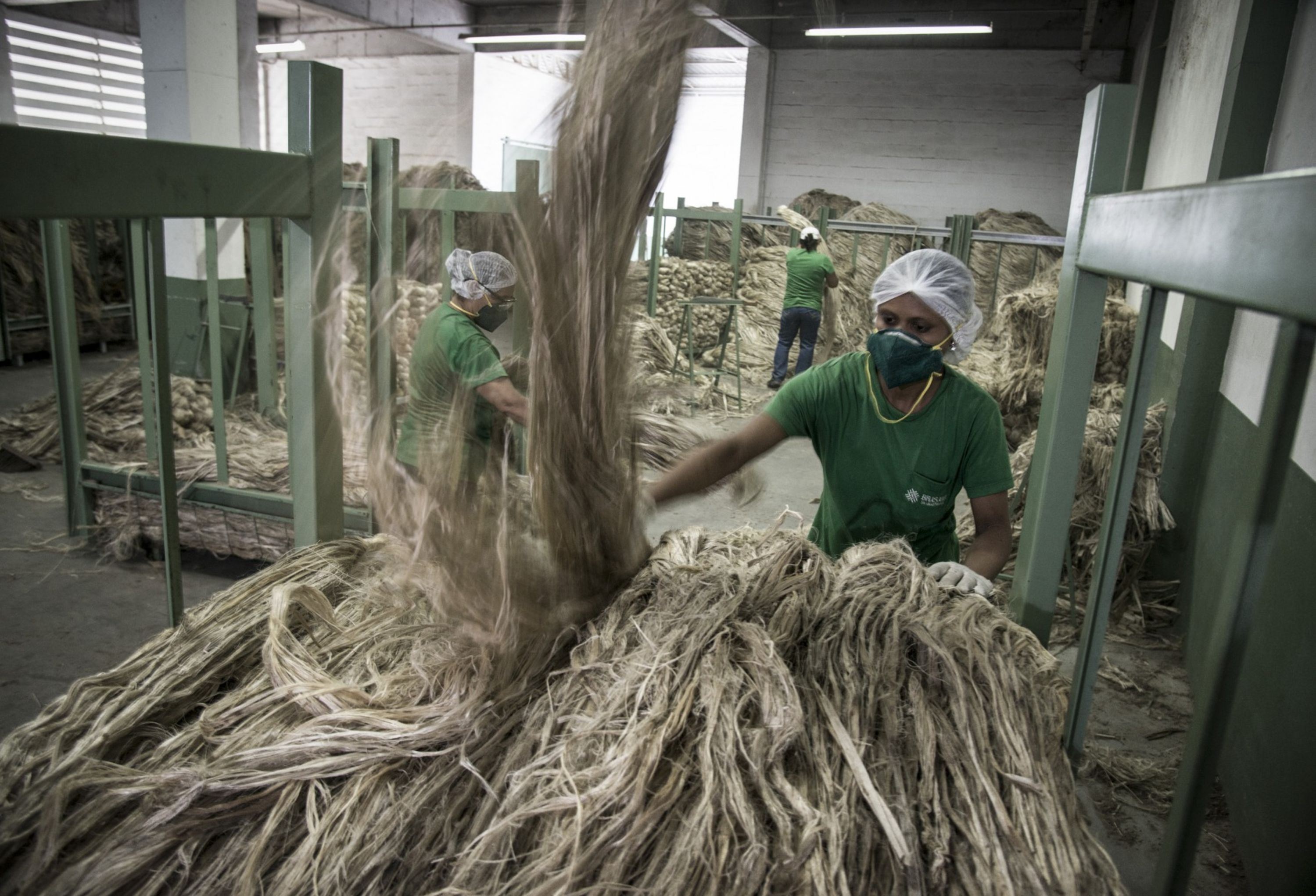 West Bengal’s Jute Industry Hit By Fund Crunch As Banks Set Stringent ...