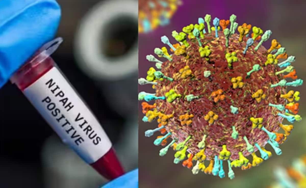 कितना खतरनाक है निपाह वायरस? बंगाल में मिले केस के बाद अलर्ट