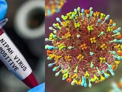 निपाह वायरस को लेकर बंगाल में अलर्ट, जानें- क्या है ये नई मुसीबत, हर सवाल का जवाब