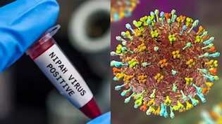 निपाह वायरस को लेकर बंगाल में अलर्ट, जानें- क्या है ये नई मुसीबत, हर सवाल का जवाब