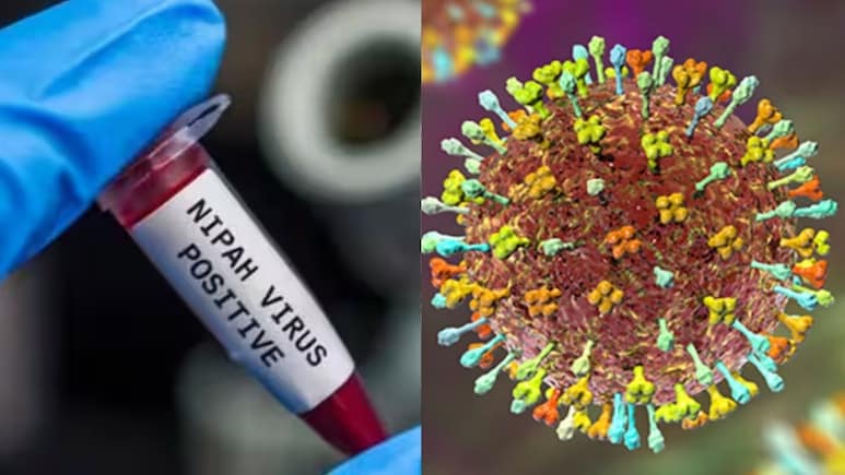 निपाह वायरस को लेकर बंगाल में अलर्ट, जानें- क्या है ये नई मुसीबत, हर सवाल का जवाब