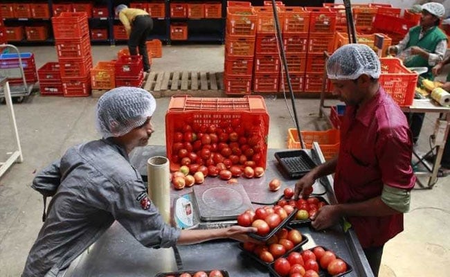 Grocery Start-up Bigbasket Gets $14.5 Million In Funding