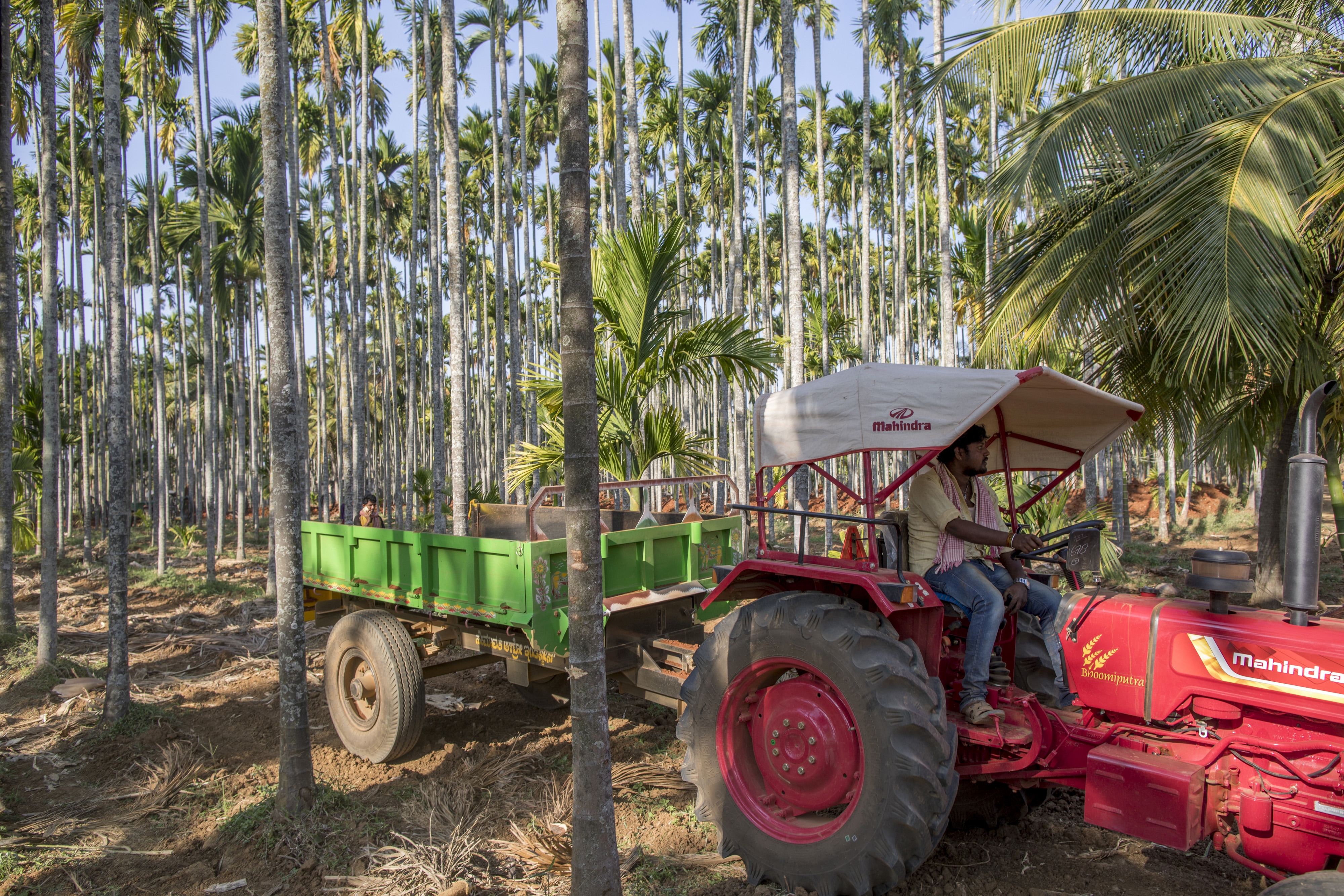 Can An &lsquo;Agri-Stack&rsquo; Help Solve Indian Agriculture&rsquo;s Age-Old Problems?