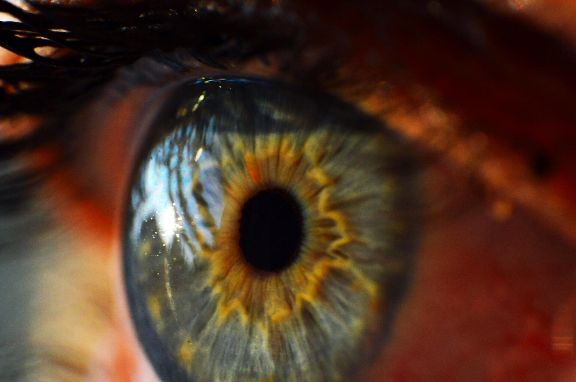 Startup Street: After 3D-Printing A Liver, This Startup Has Bio-Engineered A Cornea