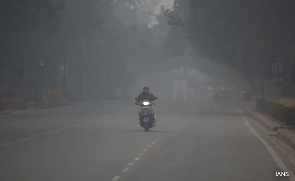 The Art of Baking: From Classic Bread to Artisan Pastries