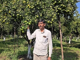 Success Story: रतलाम के किसान बनेसिंह चंद्रावत ने जैविक संतरे से कमाए 27 लाख, जानें कैसे क&zwj;िया कमाल?