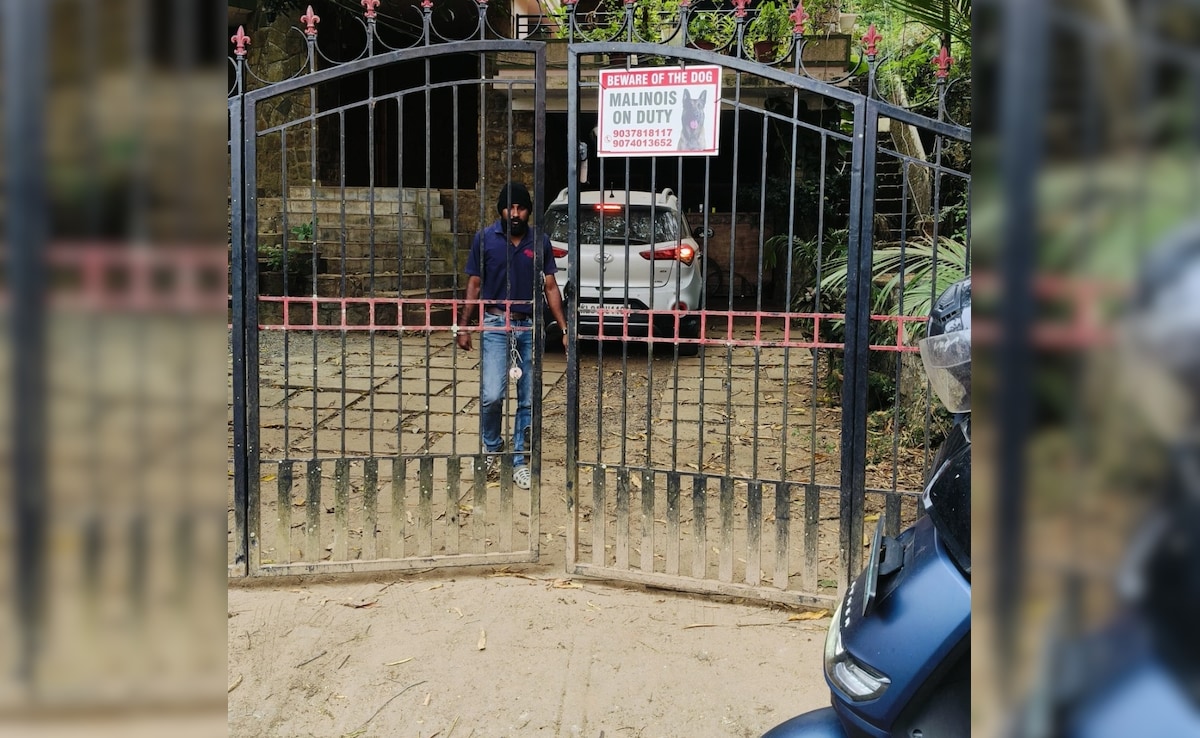 The Art of Baking: From Classic Bread to Artisan Pastries