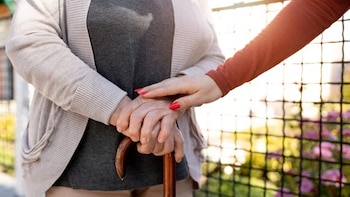 FD Rates Up To 8% For Senior Citizens: Top Lenders Offer Attractive Returns On Long-Term Deposits — Check Details