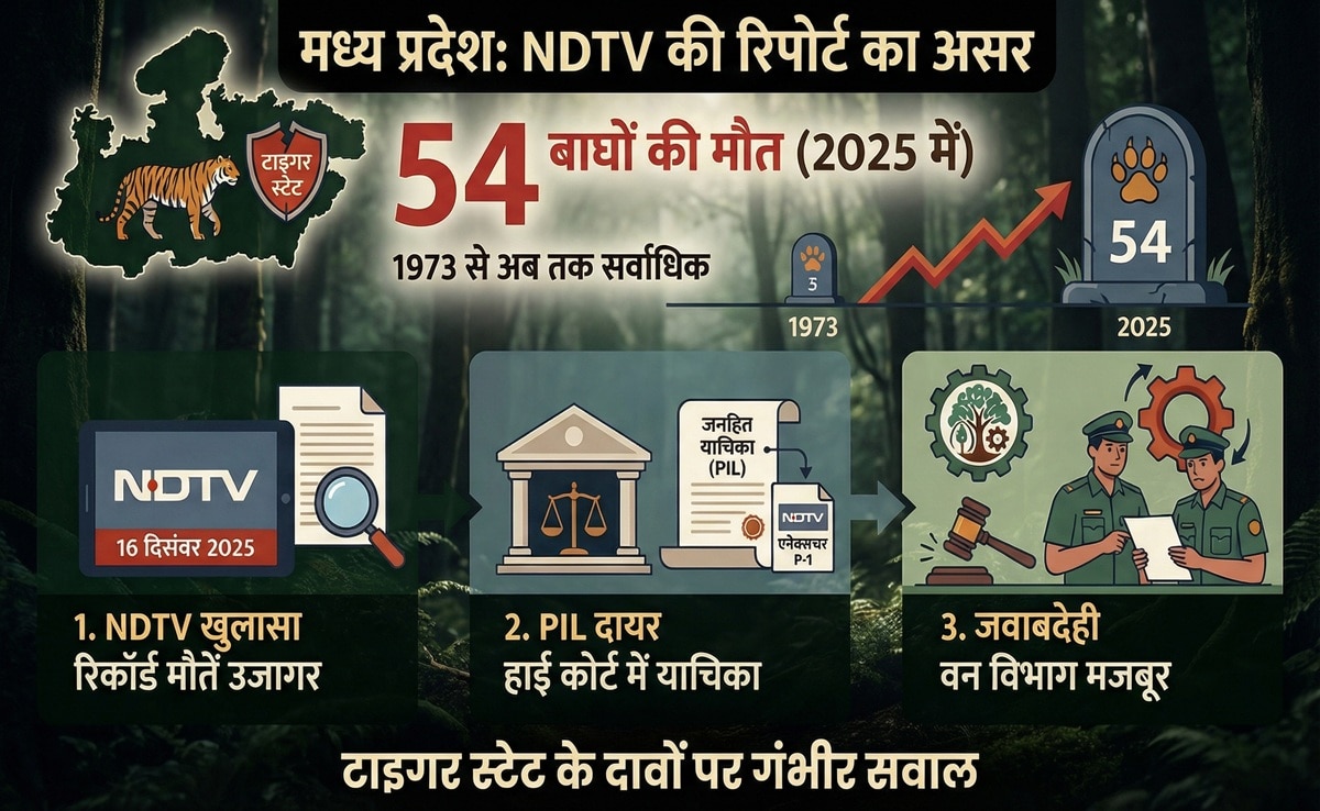 Tiger Deaths in MP: Tiger Deaths in MP