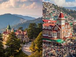 Chail vs Shimla: Which Place Is Better For Your Next Hills Vacation?