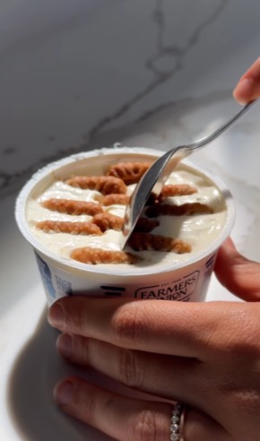 Can You Make Cheesecake With Just Yoghurt And Biscuits? Internet Says Yes